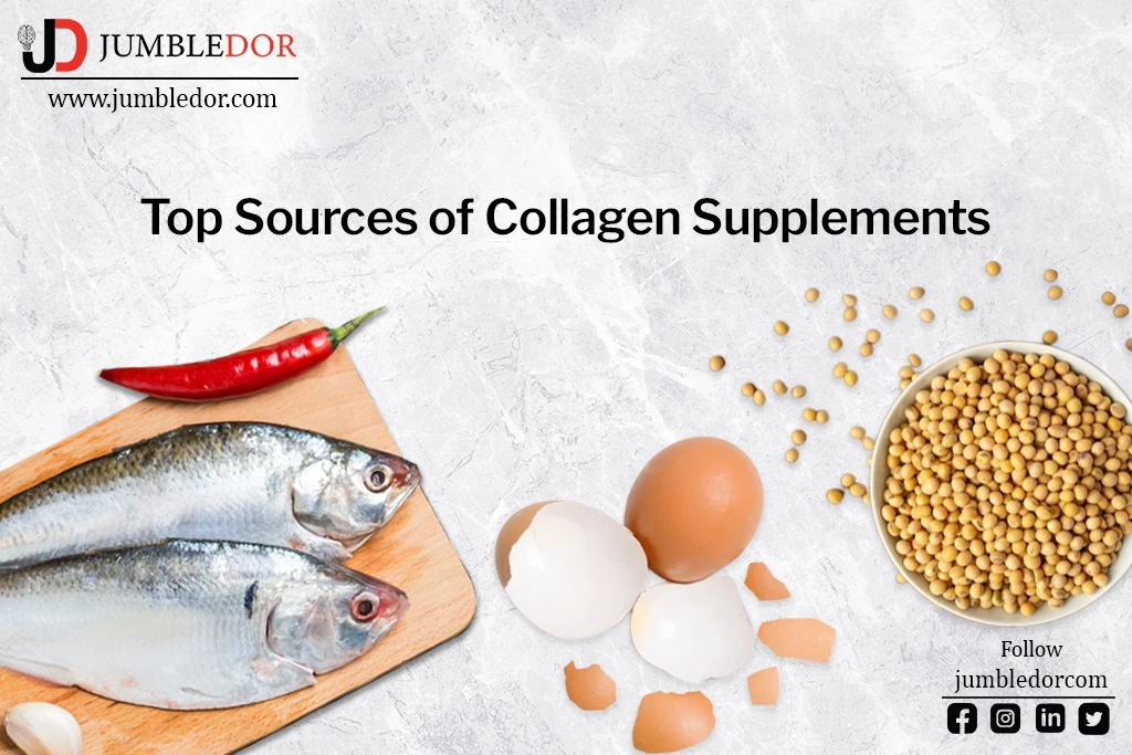 top sources of collagen