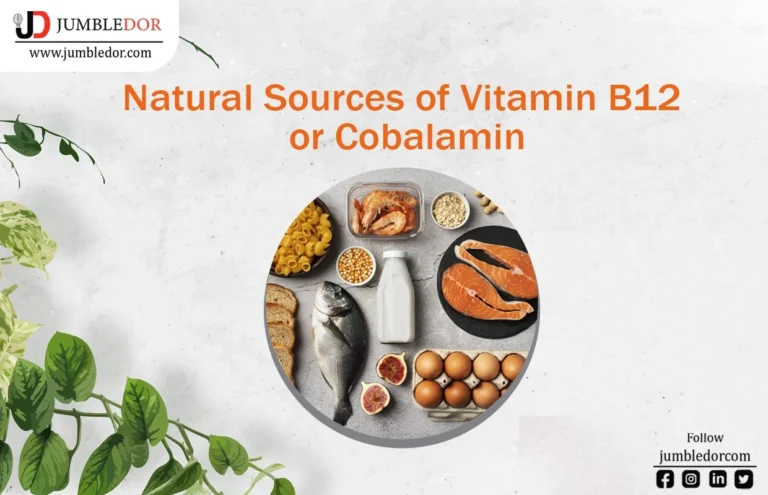 natural sources if vitamin b12 or cobalamin