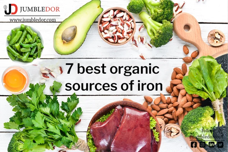 best organic sources of iron