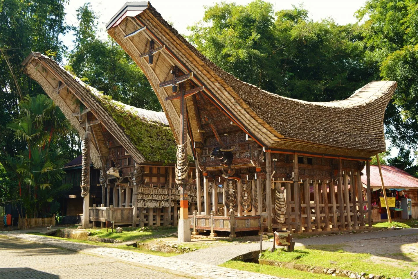 Tana Toraja, tourist place in Indonesia